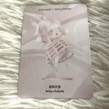 SKULLPANDA The Paradox Being a Butterfly