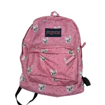 [ JANSPORT ] 불독 백팩 레어