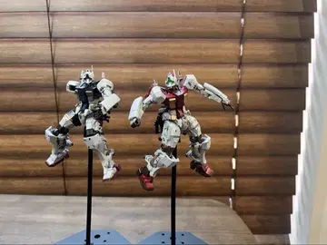 지크 액스 겔구그 hg 전체 페인팅 2체 세트