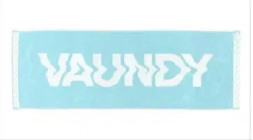 바운디 vaundy 로고 자카드 타월 페일 블루