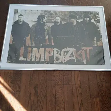 초레어 구하기 어려움 프리미어 LIMP BIZKIT 액자 포함 포스터