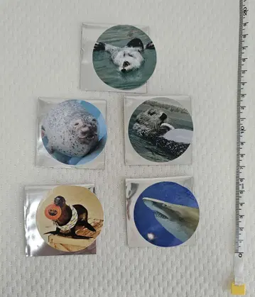 도바 수족관 스티커 복권 씰
