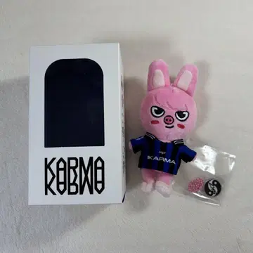 Stray Kids KARMA SKZOOVER. 창빈