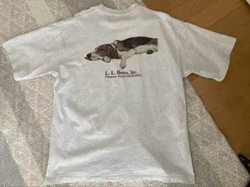 L.L.Bean x BEAMS 엘 엘 빔즈 x 빔즈 개 그레이 L