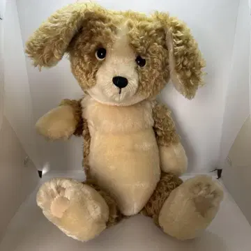 테디베어 강아지 곰 봉제 인형 teddy bear dog