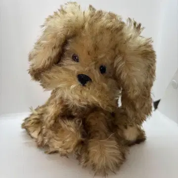 테디베어 강아지 봉제 인형 teddy bear dog