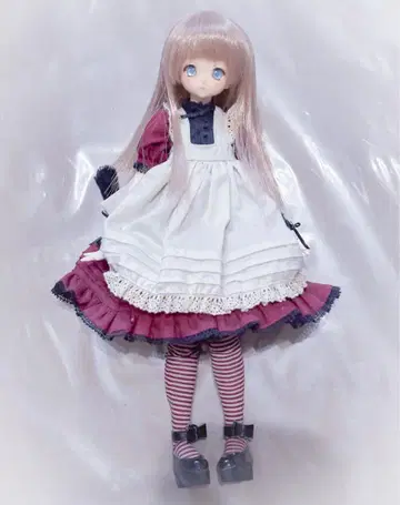 고양이 직진 고양이마코 Little Petit 퓨어니모 인형 본체