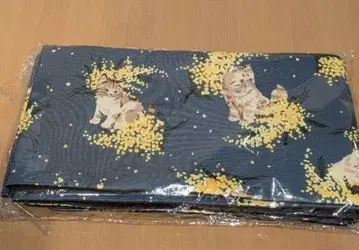 반폭 오비 고양이 무늬