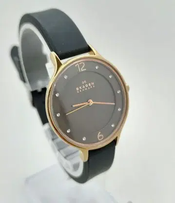 SKAGEN 스카겐 SKW2267 배터리 벨트 교환 완료