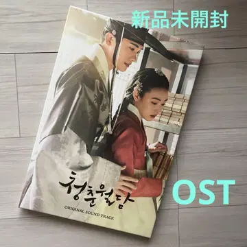 [ 미개봉 새상품 ] 청춘 월담 OST 박형식 박형식