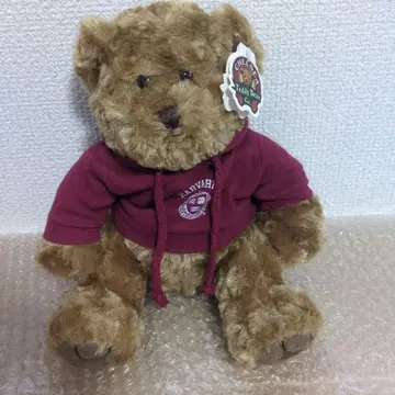 하버드 대학 테디베어 봉제 인형
