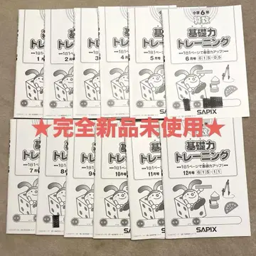 [ 미사용 새상품 ] sapix sapix 기초 트레이닝 6년