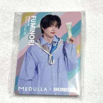 BUDDiiS MEDULLA 헤어 카르테 카드 전 10매 세트