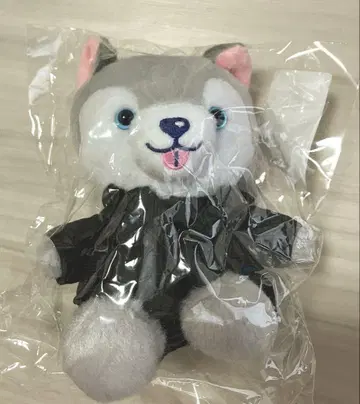 토토리견 봉제 인형