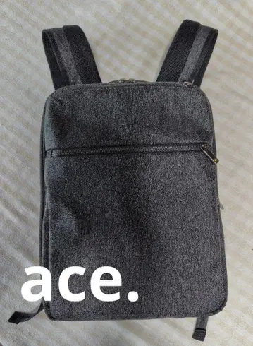 ace. 비즈니스 백팩