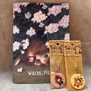 WACHIFIELD 와치필드 노트/지역 다얀 스트랩 3종 세트