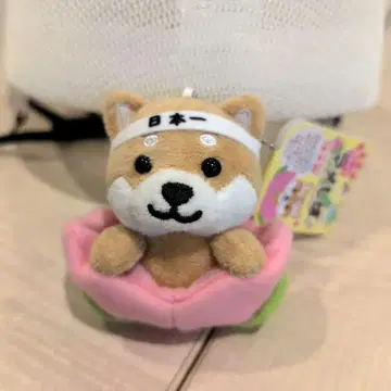 여행하는 마메시바 복숭아에서 태어난 모모타로
