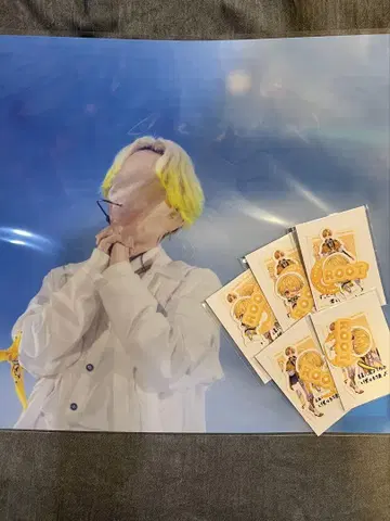 STPREXPO 루토 포스터 스티커 세트