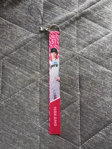 한신 타이거즈 시크릿 나카노 타쿠무