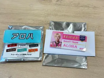 에비라이 후지비지 알로하 배지