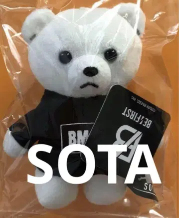 BE:FIRST 봉제 인형 소우타 곰 BMSG SOTA