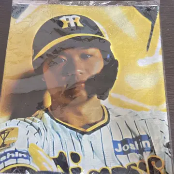 한신 타이거즈 모리시타 쇼타 비전 패브릭 타월