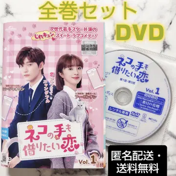 신 자오린 [고양이도 빌리고 싶은 사랑] 렌탈용 DVD 전권 중국 드라마