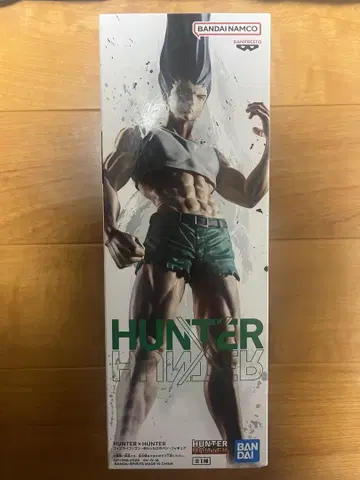 HUNTER x HUNTER 곤 프리 피규어