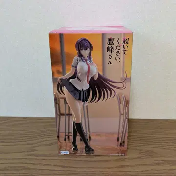 신어주세요 타카네 씨 타카미네 타카네 피규어