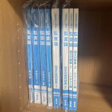 CPA 공인회계사 25년 목표 감사론