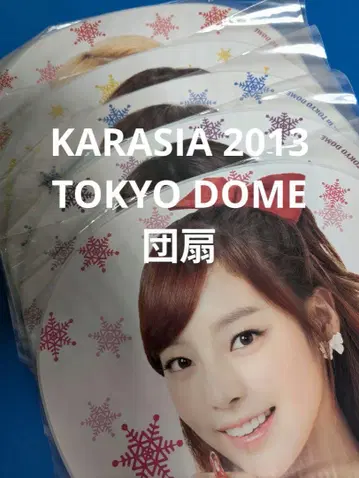 KARASIA 2013 TOKYO DOME 부채 5장 세트