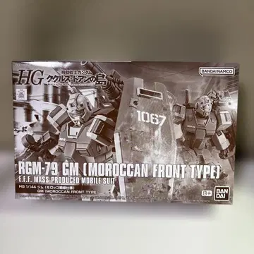 HG 1/144 짐 모로코 전선 사양