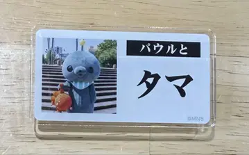 교육 방송 호메호메 카페 트레이딩 명찰풍 배지 타마 파울