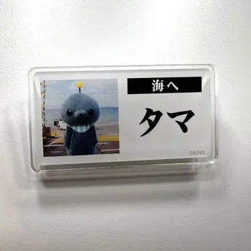 교육 방송 명찰풍 배지 타마 바다로 칭찬칭찬 카페
