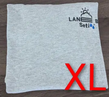 Lane by x Setinn x alwayth 티셔츠 그레이 XL