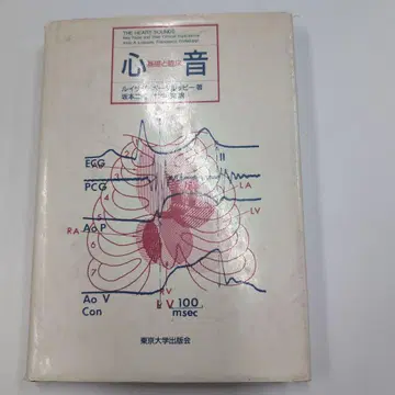 심음 기초와 임상 루이사다