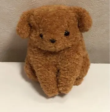 통통 강아지 푸들
