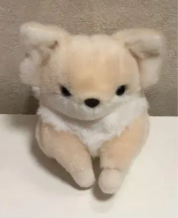 포동이 강아지 치와와 봉제 인형 블루블루에