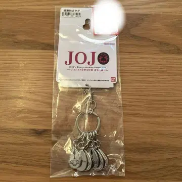 죠죠의 기묘한 모험 아베일 6연 지퍼 참