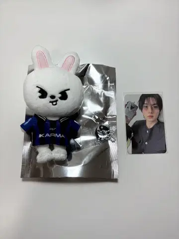 straykids KARMA SKZOO 리빗 리노 키링