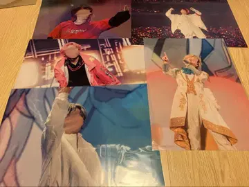 Stpr Expo 포스터 리인 코론 미카사 군 니시키 라오