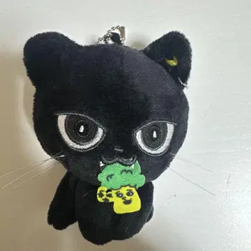 쿠이군 야기코리 야기 유세이 멘프로