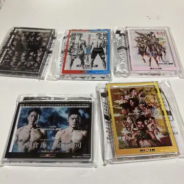 RIZIN 아크릴 블록