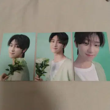 THE8 트레이딩 카드 HANABI