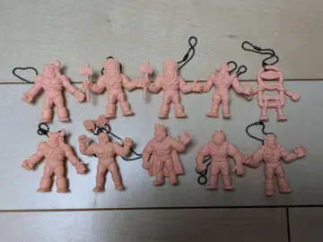 근육맨 구미 근육맨 양귀비 참 묶음 판매