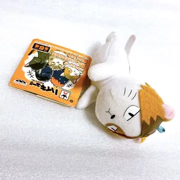 하이큐 코즈메 켄마 켄마 고양이 가방에 달 수 있는 봉제 인형 키링