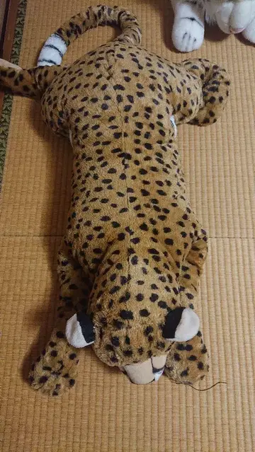 레오파드 봉제 인형 약 60cm