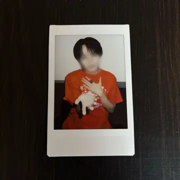 러브시크 타로 핑 폴라로이드