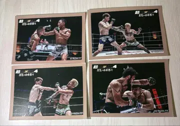 RIZIN FF 4 스티커 4장 세트
