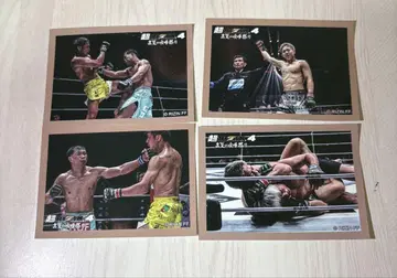 RIZIN FF 스티커 4개 세트